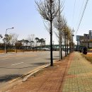 평천주유소 이미지