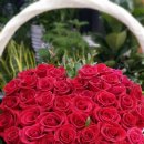 플라워누리