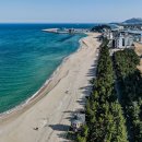 파인아트라벨 이미지