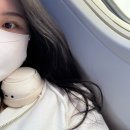 비키김해점 | 김해-시드니 동방항공 상해 환승 후기/동방항공 기내식, 레그룸, 세관절차