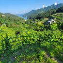 유주막로 이미지