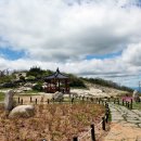 하늘정원 화장실 이미지