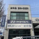 보라점현대자동차