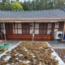 내미농박 이미지