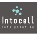 라디안소프트 이미지