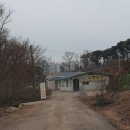 고향백숙 네이버블로그
