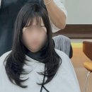 미니크헤어룸