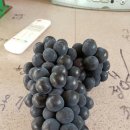 삼덕농장 이미지