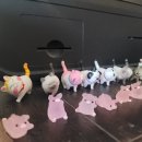 미스타플라워