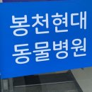현대동물약품 이미지