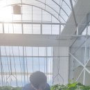 광산농장 이미지