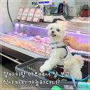 일산 애견동반 식당 마트에서 장 보고 바베큐 가능한 비비큐플레이스