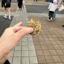 빵빵 | 천안 빵빵데이 다녀온 후기 : 주차 화장실 참여업체