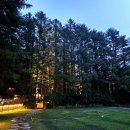 포레스트 캠핑장 이미지