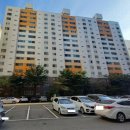 하단동1175 이미지