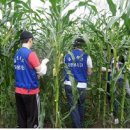 (주)자은 이미지