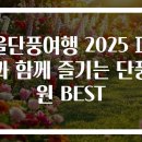 속초가스충전소 | 가을단풍여행 2025 피크닉과 함께 즐기는 단풍공원 BEST