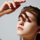 에그 셀런트 이미지