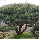 금마3농장 이미지