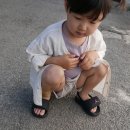 민스하우스