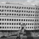 달나라 토끼 이미지