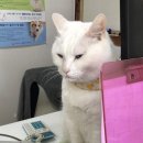 이광수동물병원 이미지