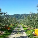 동무농장 이미지