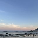 고운풍경민박 네이버블로그