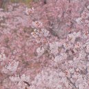 동부그린근린공원2 이미지