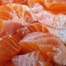 양지회센터 이미지