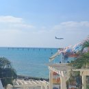 샵테라스 | [오키나와 남부]귀국날 가기 좋은 우미카지 테라스 후기(맛집,카페,소품샵 추천 포함)