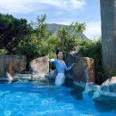 제주산방산탄산온천 | 제주도 여행 꼭 가봐야할곳 핫플 제주 산방산 탄산온천