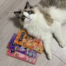 뭐줄까오늘간식 | 토로Toro리얼 토로 필렛 &amp; 토로 크리미 | 잘먹는고양이간식토로toro