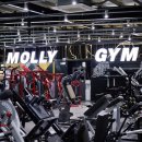 몰리짐 문덕 네이버블로그