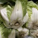 (주)지레이 이미지