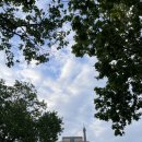 라메르 호스텔 | [아일랜드워홀]+355일 파리 3박 4일-3 모네의 정원(지베르니), 옹플뢰르, 몽생미셸