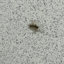 송파제일약국 이미지