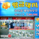 황금돼지공인중개사사무소 이미지