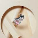 하이클래스 클리프 이미지