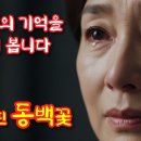 🎵 찬 바람 불 때면 생각나는 그 사람" 신곡「다시 핀 동백꽃」 이미지