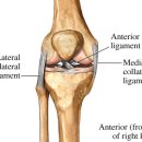 메디포스 운동 재활센터 이미지