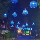 동화힐링캠프 이미지