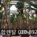 대곡농장 이미지