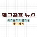 [파크골프 잘 치는 법] 파크골프 기초 기술 이미지