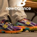 뉴 본 태권도 이미지