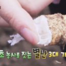 김성열농장 이미지