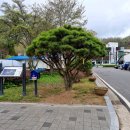 보룡1리 이미지