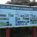 남생이못 이미지