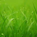 수호일농장 이미지