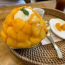 망고숲